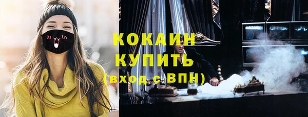 молекула духа Алексин
