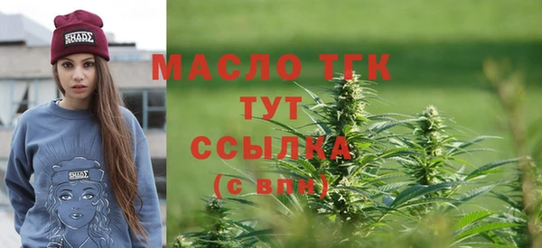 индика Козельск