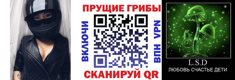 сколько стоит  Изобильный  Псилоцибиновые грибы Psilocybine cubensis 