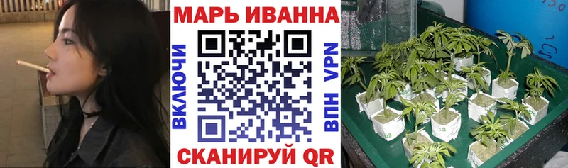 Бошки марихуана планчик  Изобильный 